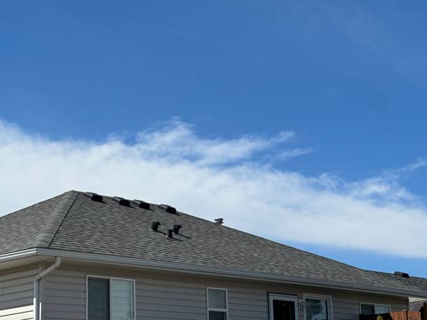 Best Flat Roofing  in Rector, AR